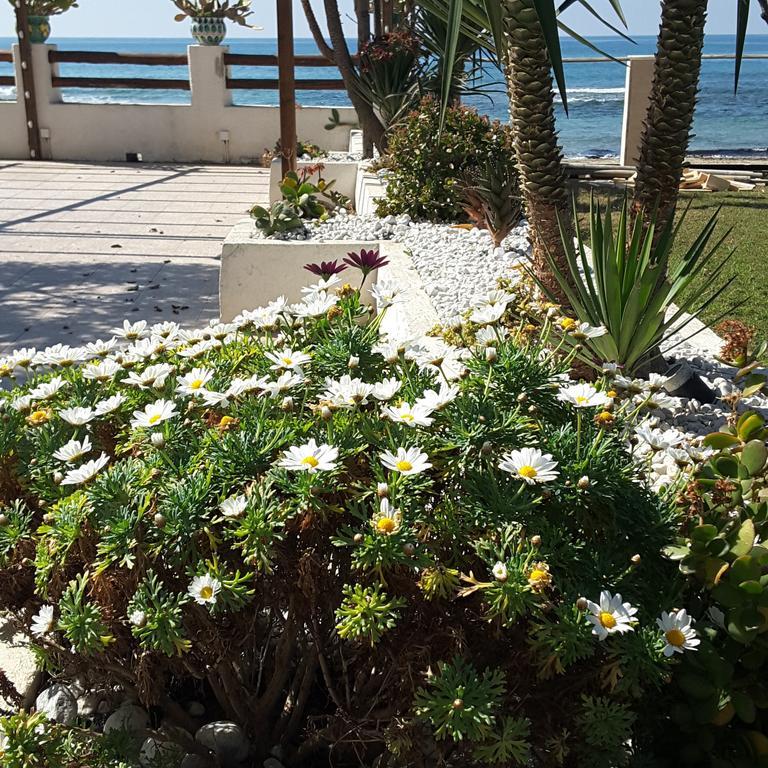 Hotel E Residence Il Faro Acciaroli Bagian luar foto